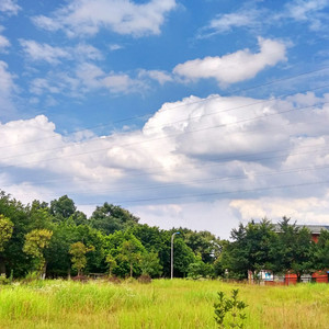 把腿张开绑在床上任人玩弄动漫
