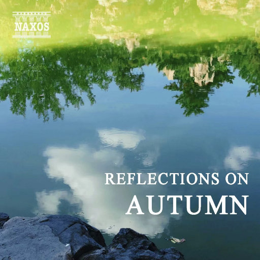 把腿张开绑在床上任人玩弄动漫
